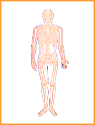 Sthapatya Veda Physiology