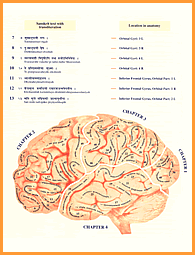 Yoga Physiology